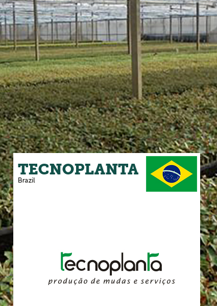 tecnoplanta_clients_ellepot.jpg