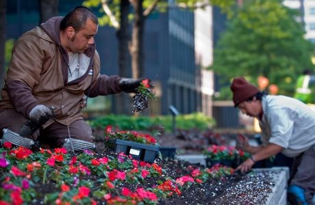 Landscapers using Ellepot