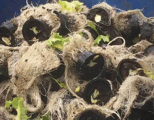510x400_no plastic waste.jpg