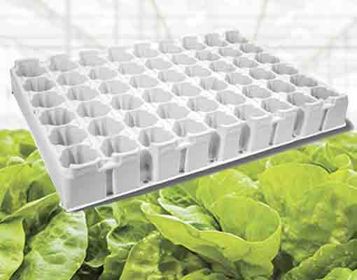 510X400 Ellepot Trays For Vegetables