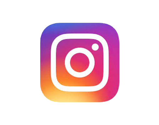 Instagram Icon Ellepot