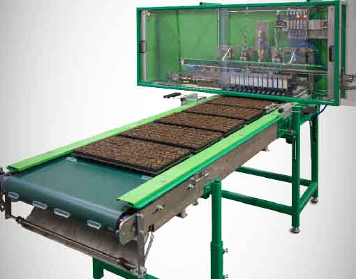 510X400 Ellepot Tray Filler TF1 Machine