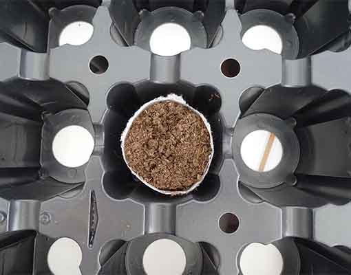 510X400 ES60032 D Ellepot Airtray For Propagation