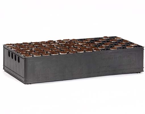 Ellepot Propagation Tray 098S20I