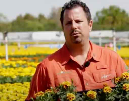 Ellepot Customer Knox nursery, USA Ellepot Customer Knox nursery, USA