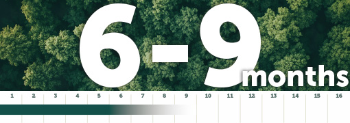 Ellepot Paper Decompose In 6-9 Months