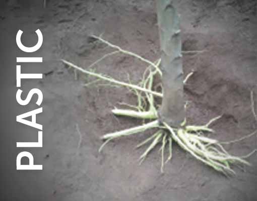 Do plants absorb chemicals from plastic pots?  Tubes can create microplastic pollution as the sun decomposes the tube material