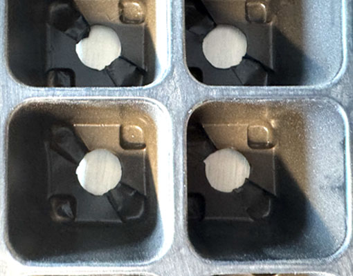 Ellepot Propagation Tray EJ30030 for better rooting
