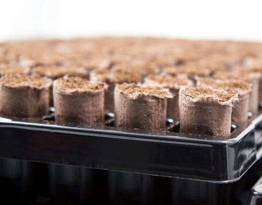 Ellepot trays are designed as a technology to create the best possible conditions for rooting young plants in Ellepots (1)